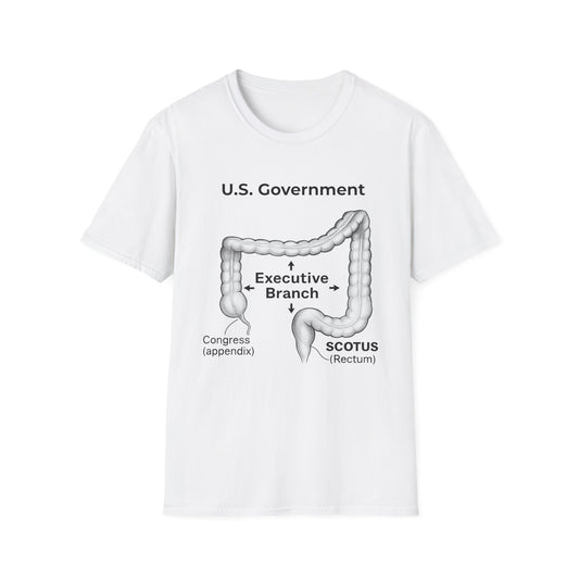 Anatomy of a Broken Democracy – A colonic perversion.