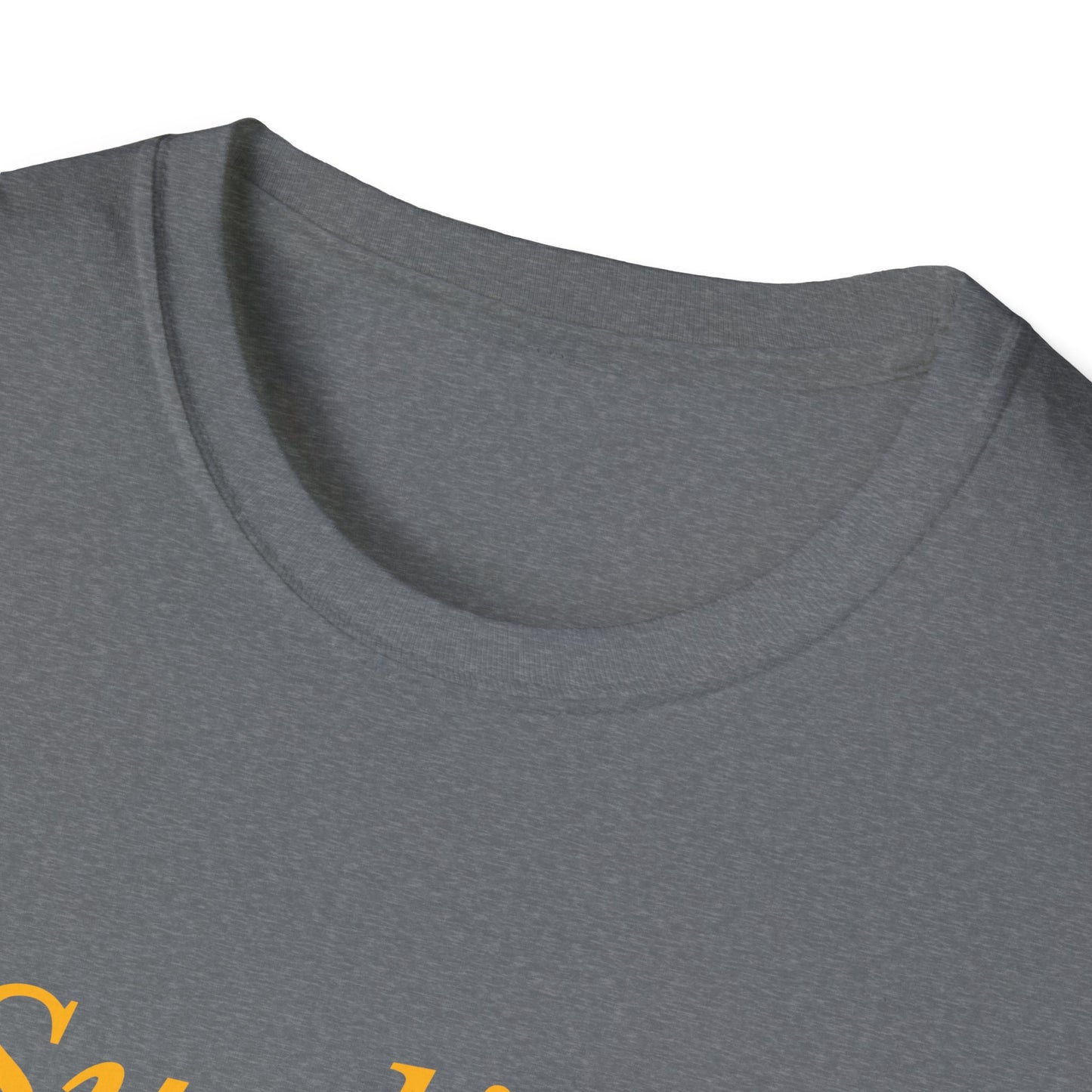 Sunlight is the Best Disinfectant T-shirt – Release the Epstein Files – Graphite Heather