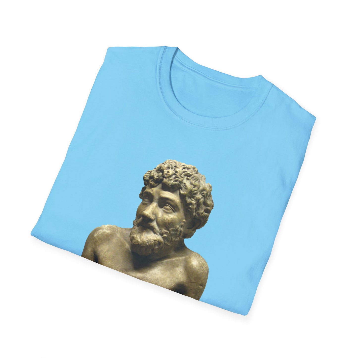The Tyrant’s Pretext T-Shirt SKY BLUE– Aesop Quote Front