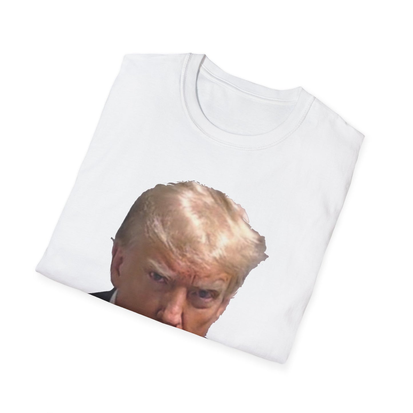 Felon & Fascist – Fight Fascism, Support Democracy T-Shirt