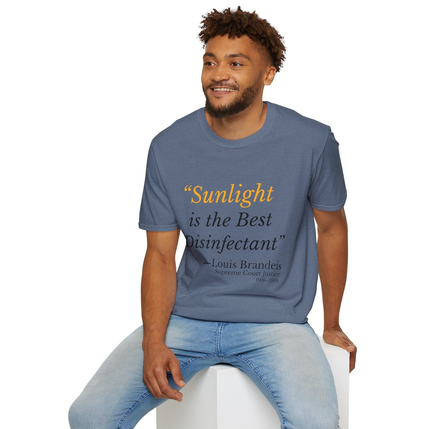 Sunlight Is the Best Disinfectant T-Shirt – Release Unredacted Files Transparency Tee – Heather Indigo