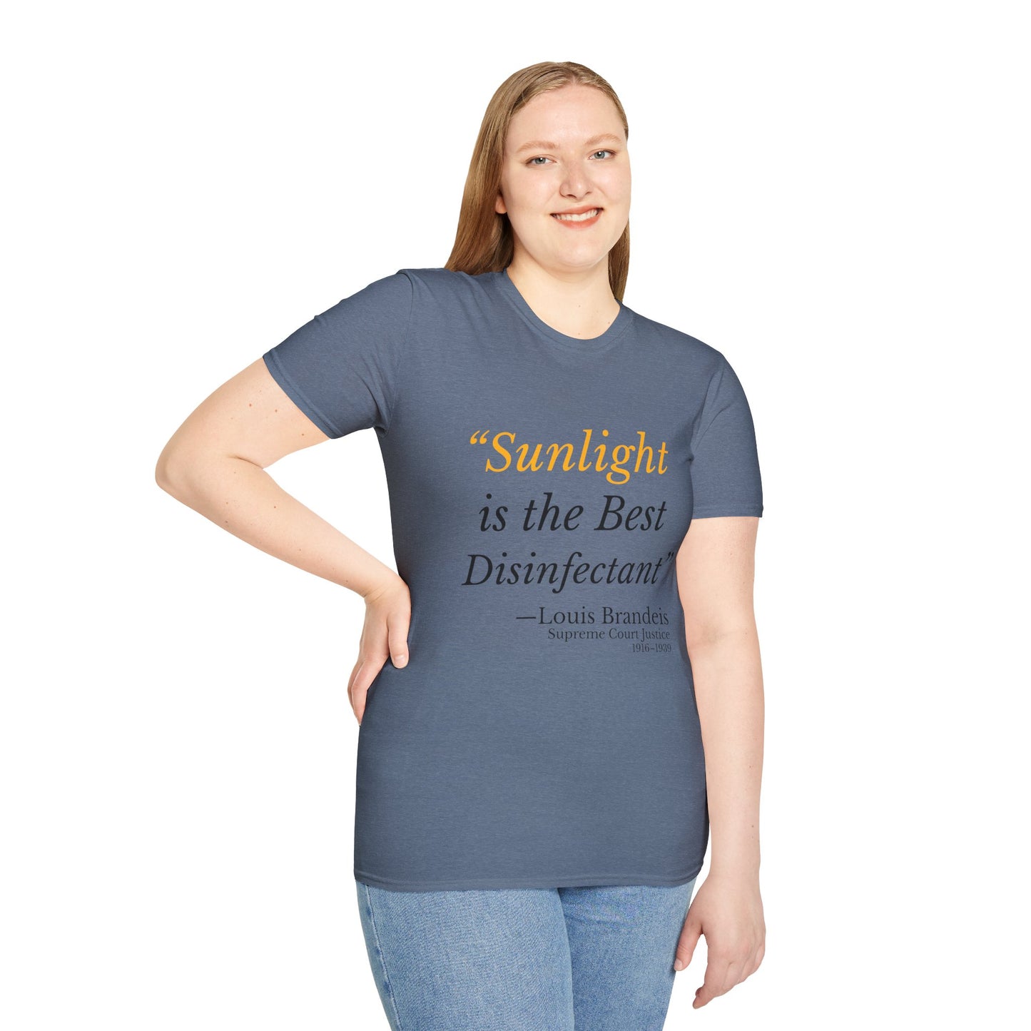 Sunlight Is the Best Disinfectant T-Shirt – Release Unredacted Files Transparency Tee – Heather Indigo