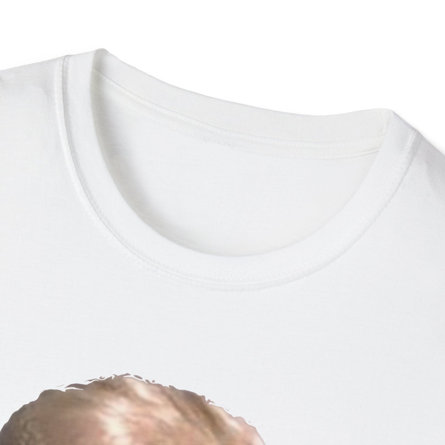 Felon & Fascist – Fight Fascism, Support Democracy T-Shirt