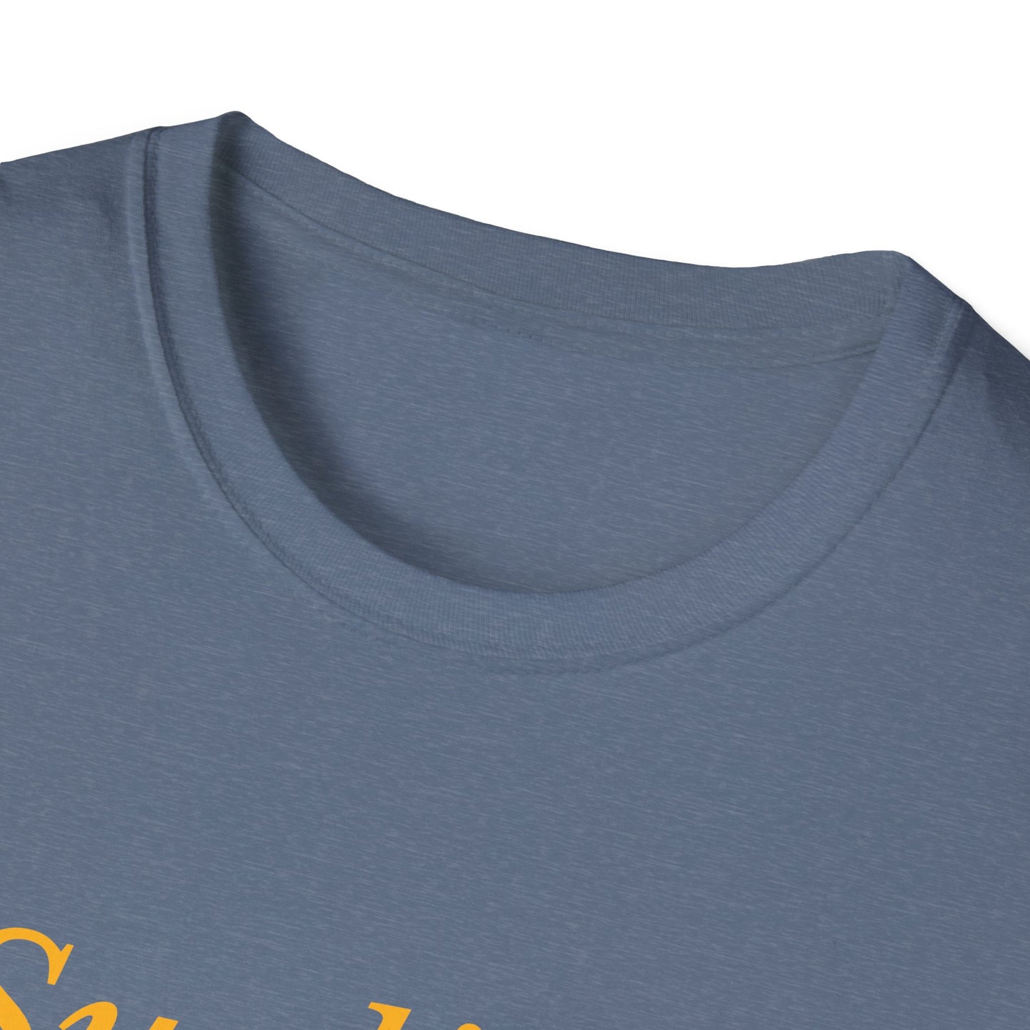 Sunlight Is the Best Disinfectant T-Shirt – Release Unredacted Files Transparency Tee – Heather Indigo
