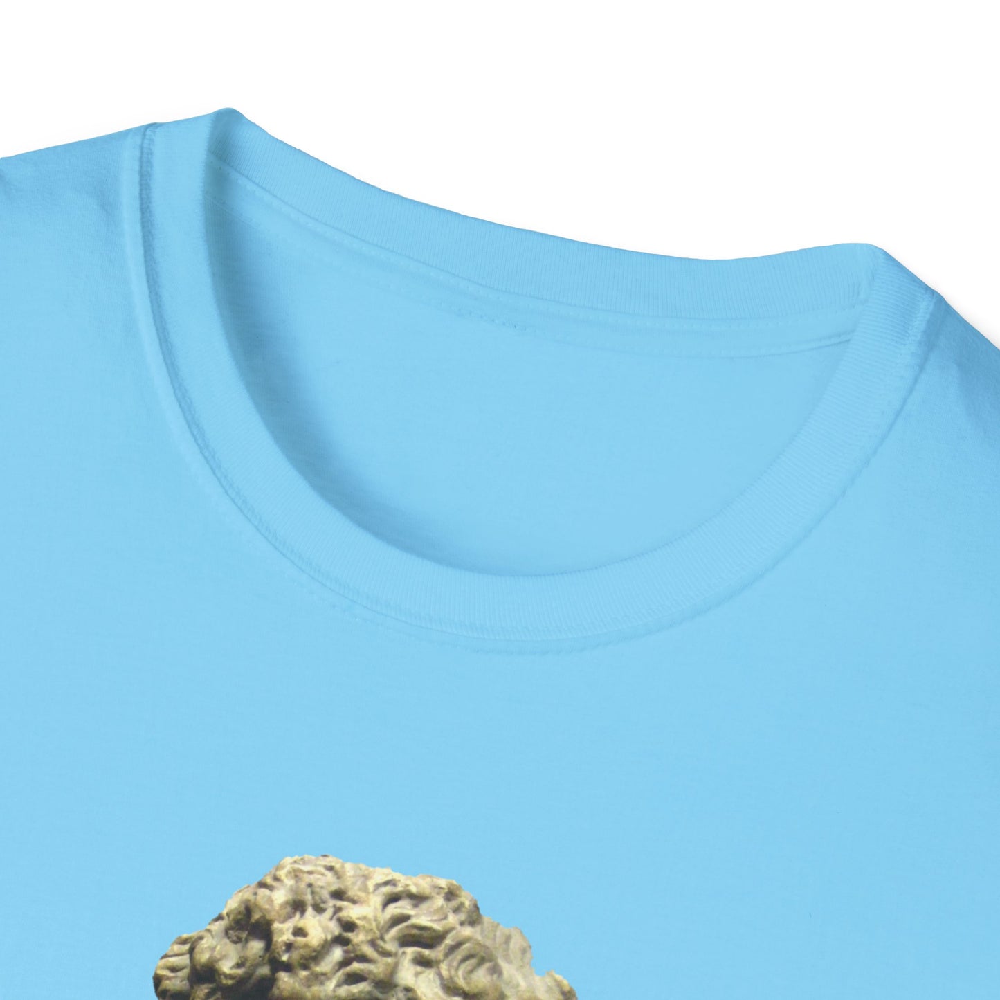 The Tyrant’s Pretext T-Shirt SKY BLUE– Aesop Quote Front