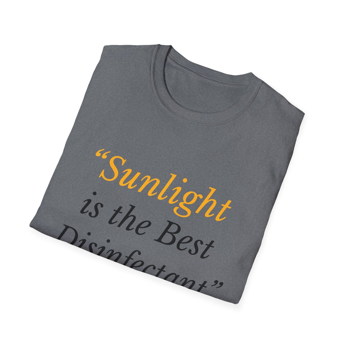 Sunlight is the Best Disinfectant T-shirt – Release the Epstein Files – Graphite Heather