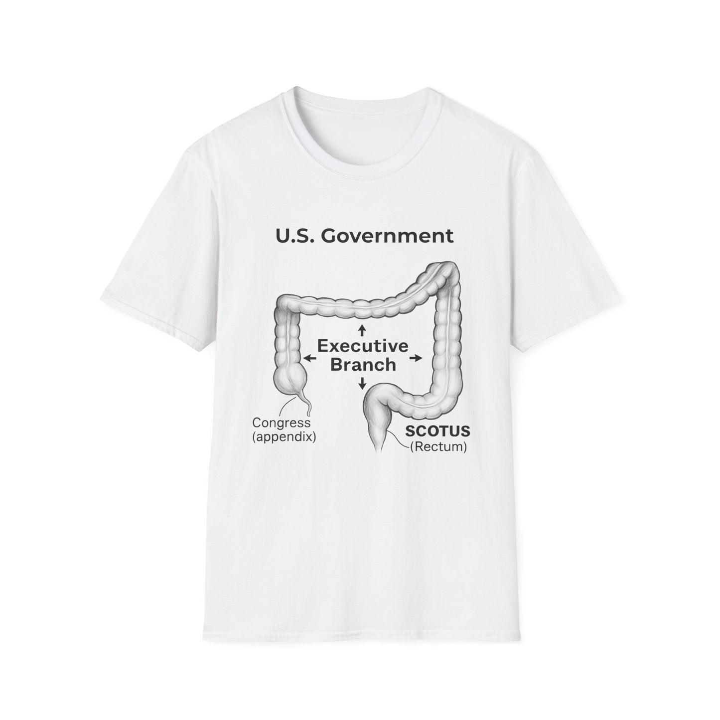 Anatomy of a Broken Democracy: GOP Congress/POTUS/SCOTUS are pooping on America