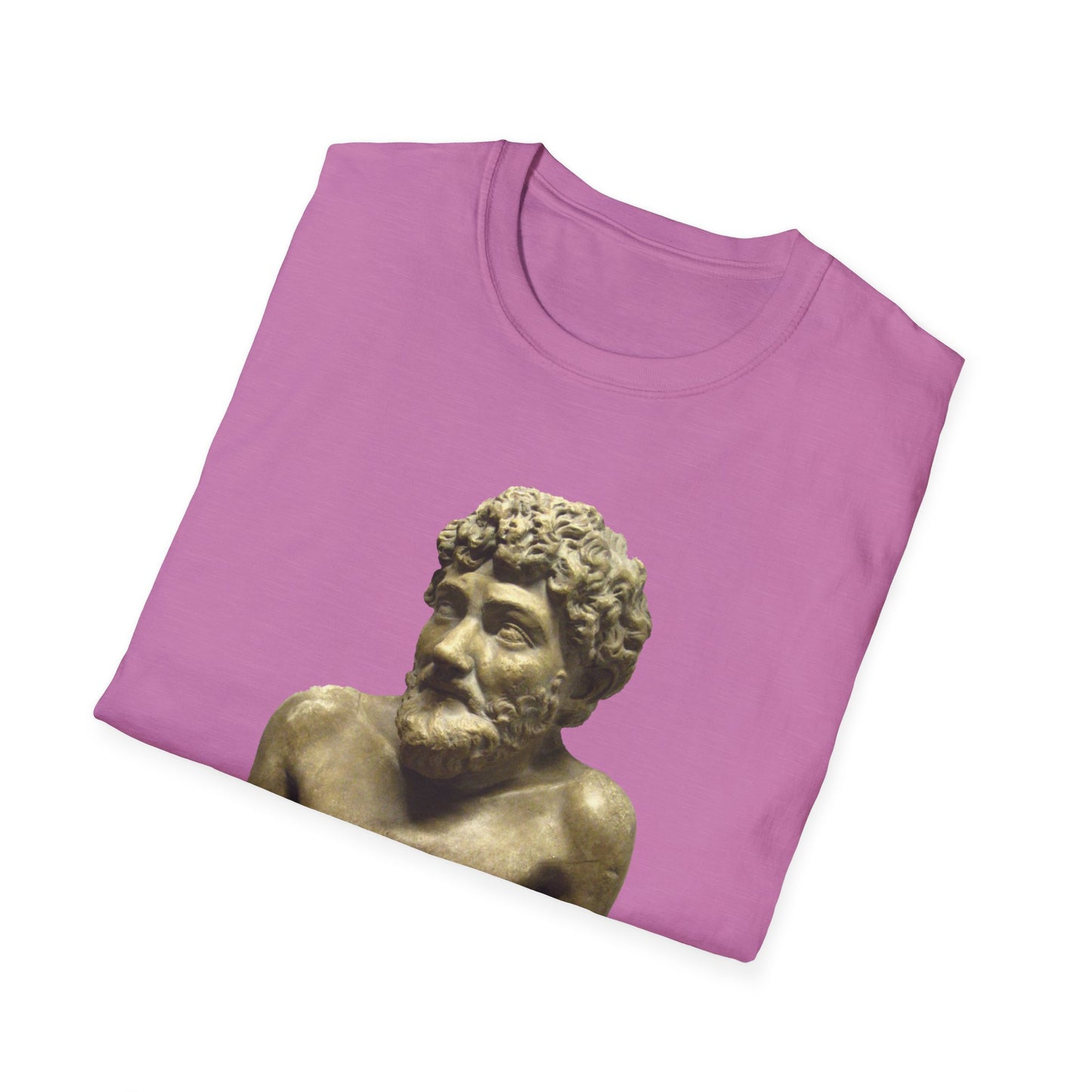 The Tyrant’s Pretext T-Shirt PINK– Aesop Quote Front