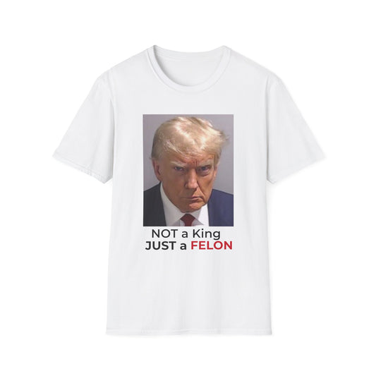 Not a King – Resist Dictatorship in America Tee