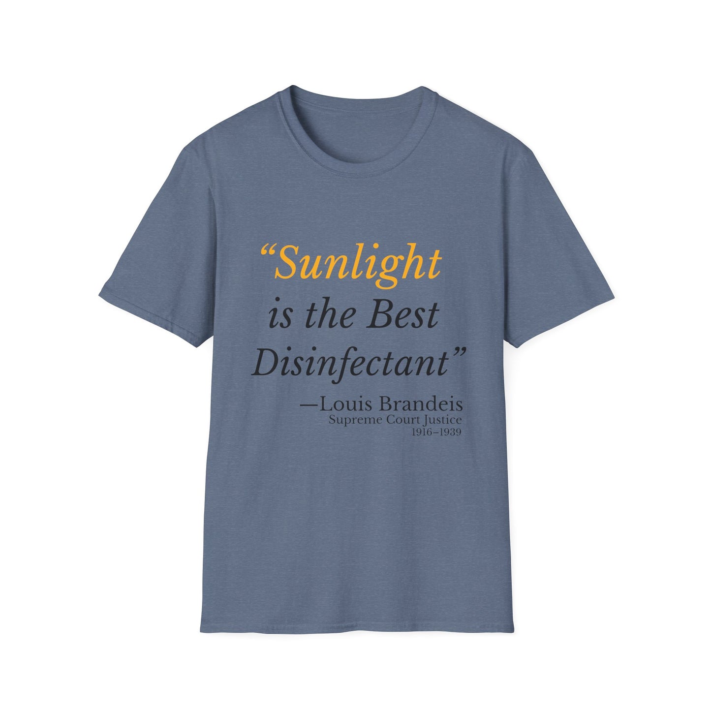 Sunlight Is the Best Disinfectant T-Shirt – Release Unredacted Files Transparency Tee – Heather Indigo