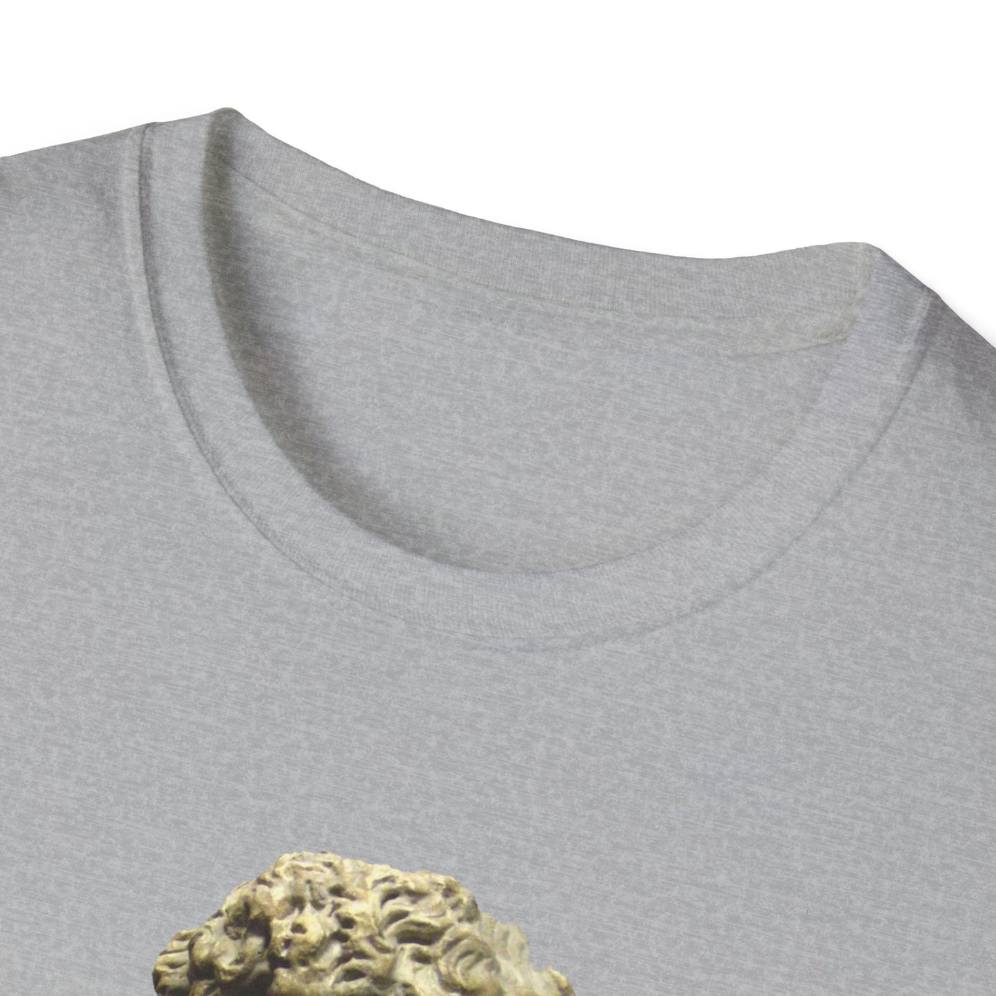 Tyranny Quote T-Shirt – “The Tyrant Will Always Find a Pretext for His Tyranny” – Aesop – Sport Grey