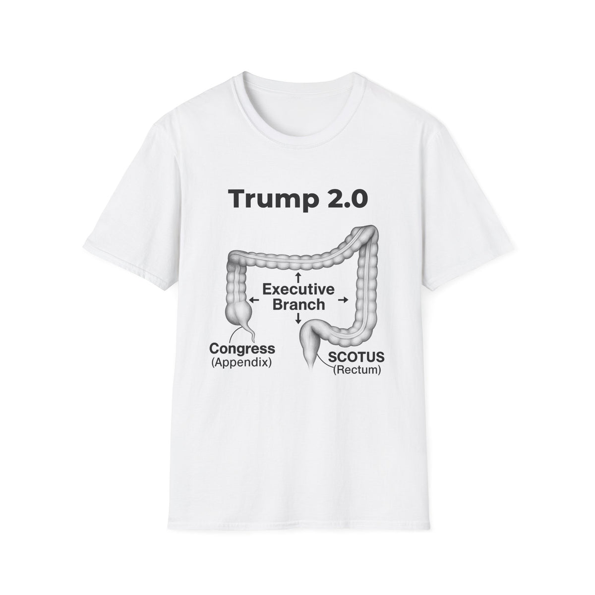 Democracy Protest Shirt – Broken Democracy Political Statement T-Shirt