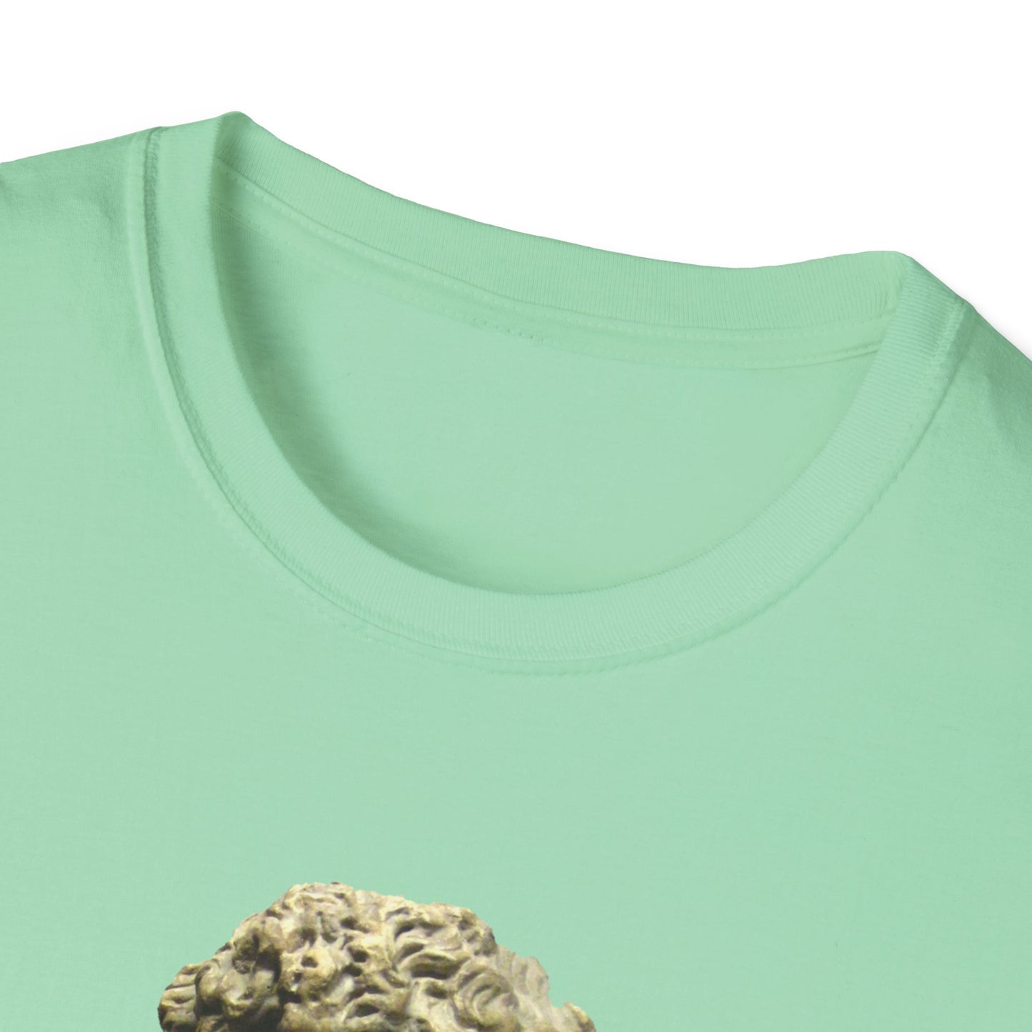 The Tyrant’s Pretext T-Shirt MINT GREEN– Aesop Quote Front