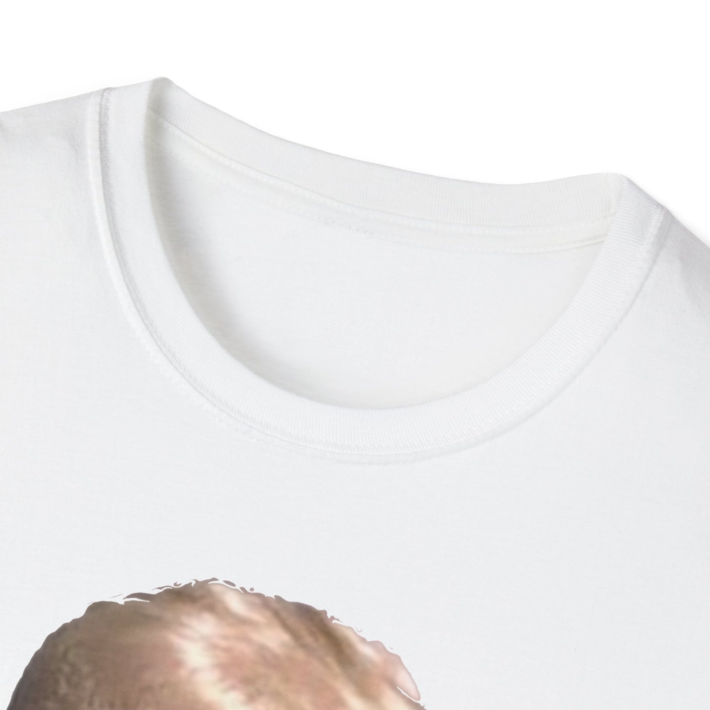 Hoax = Truth – Damaging, Embarrassing, Inconvenient Evidence Tee