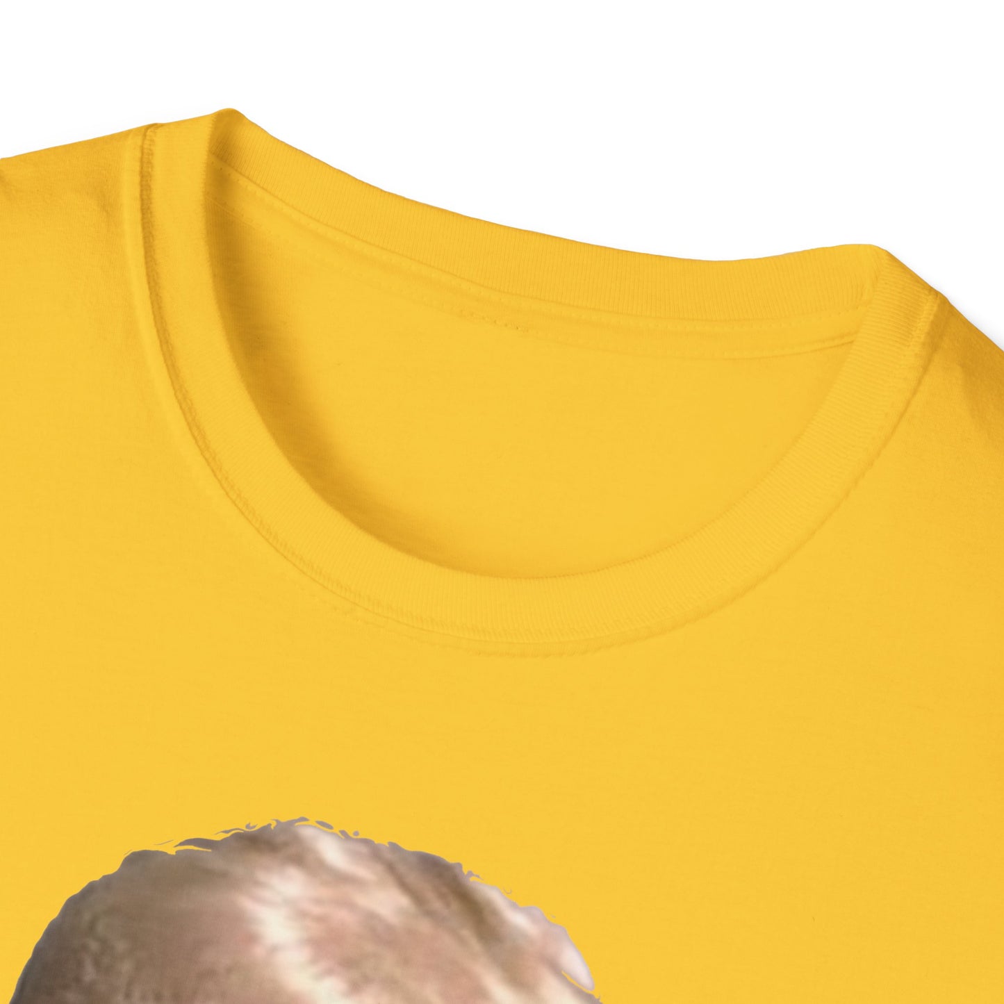 Hoax = Truth – Damaging, Embarrassing, Inconvenient Evidence Tee–Yellow Edition