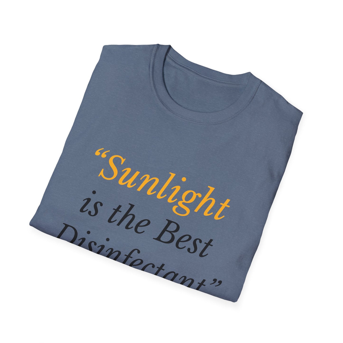 Sunlight Is the Best Disinfectant T-Shirt – Release Unredacted Files Transparency Tee – Heather Indigo