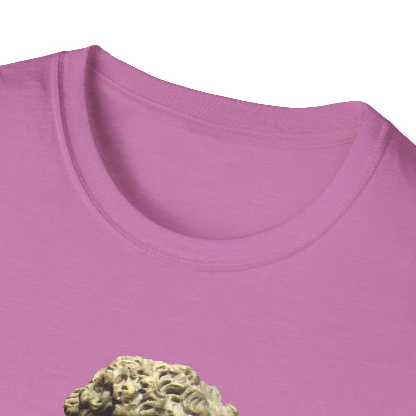 The Tyrant’s Pretext T-Shirt – Aesop Quote Front & Fake Emergencies Back