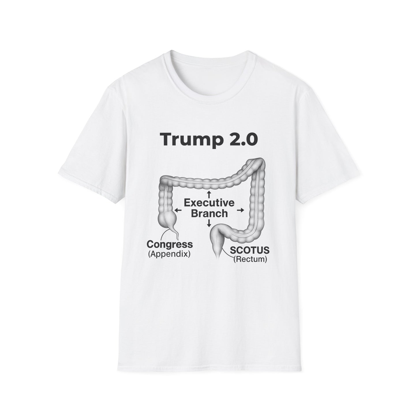 Anatomy of a Broken Democracy – Metaphor Meets Reality T-Shirt