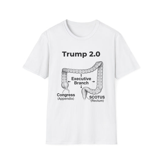 Anatomy of a Broken Democracy – Metaphor Meets Reality T-Shirt
