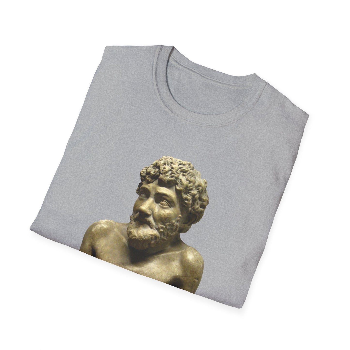 Tyranny Quote T-Shirt – “The Tyrant Will Always Find a Pretext for His Tyranny” – Aesop – Sport Grey