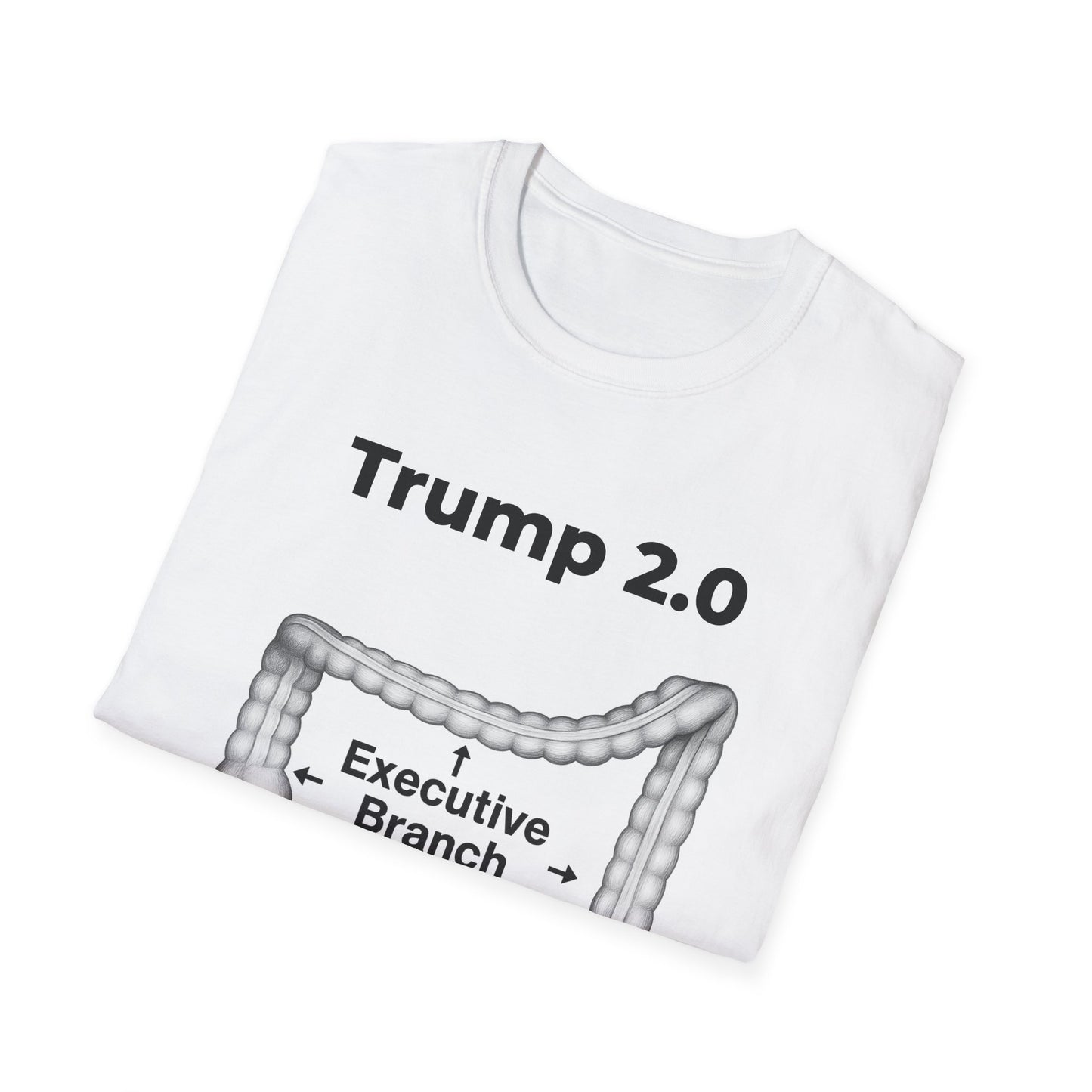 Anatomy of a Broken Democracy – Metaphor Meets Reality T-Shirt