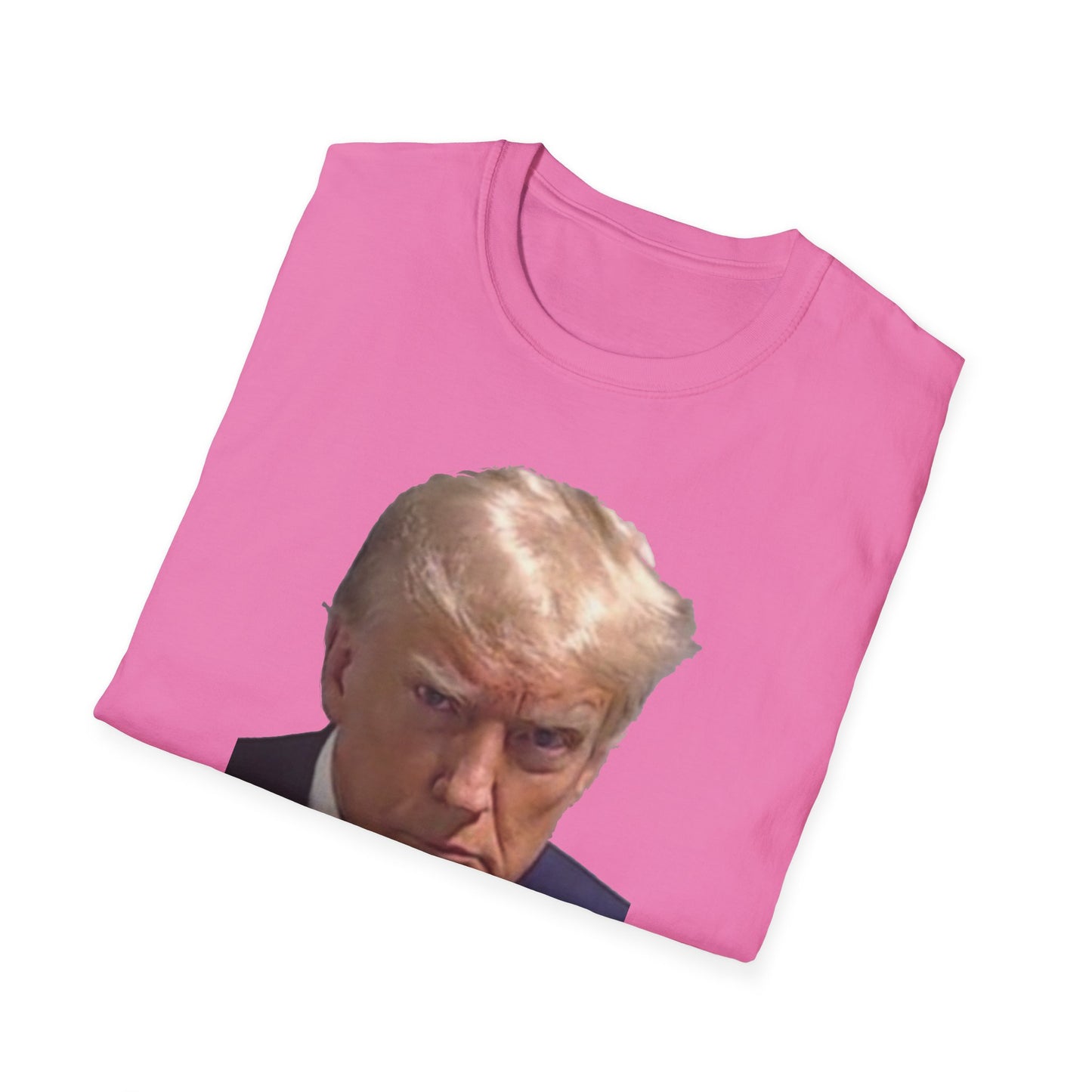 Hoax = Truth – Damaging, Embarrassing, Inconvenient Evidence Tee–Pink Edition