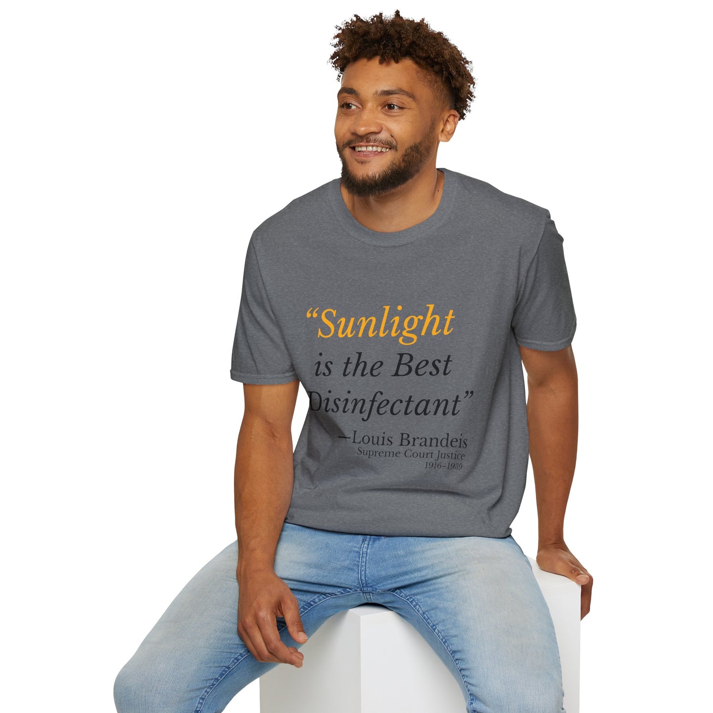 Sunlight is the Best Disinfectant T-shirt – Release the Epstein Files – Graphite Heather