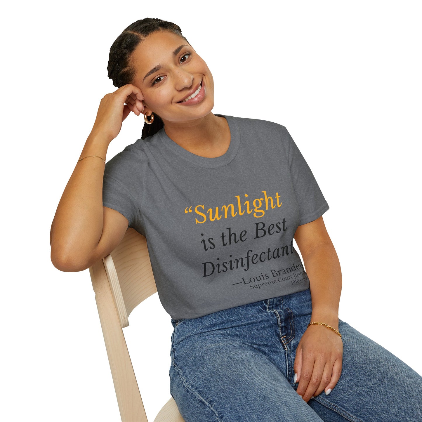 Sunlight Is the Best Disinfectant T-Shirt – Release Unredacted Files Transparency Tee – Graphite Heather