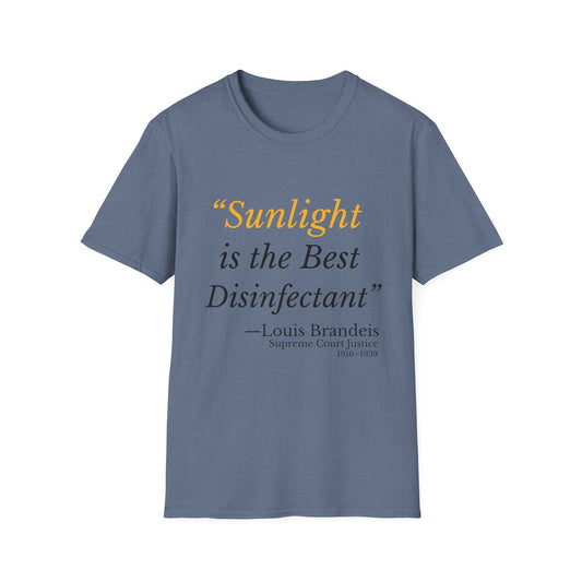 Release All Unredacted Epstein Files – Demand Transparency Tee – Heather Indigo