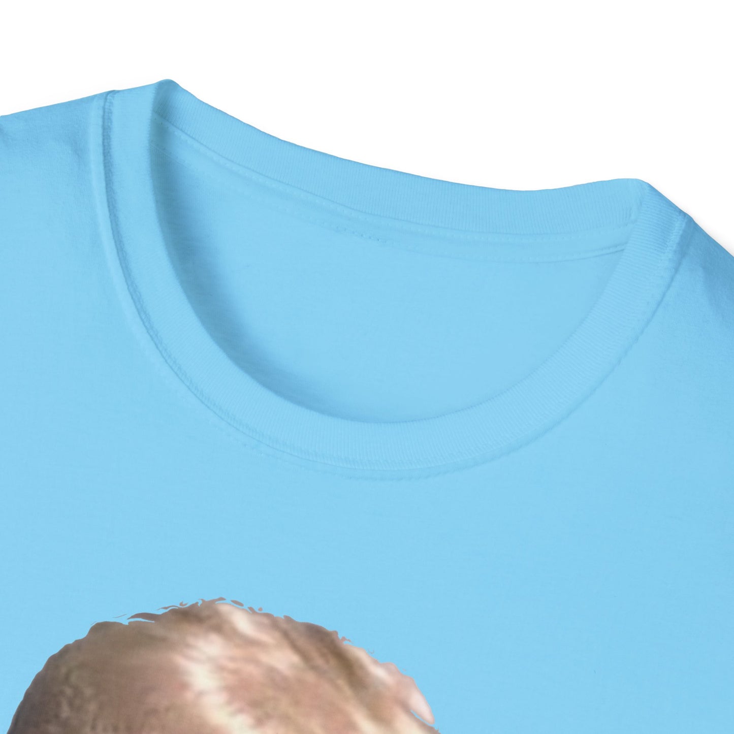 Hoax = Truth – Damaging, Embarrassing, Inconvenient Evidence Tee–Sky Blue Edition