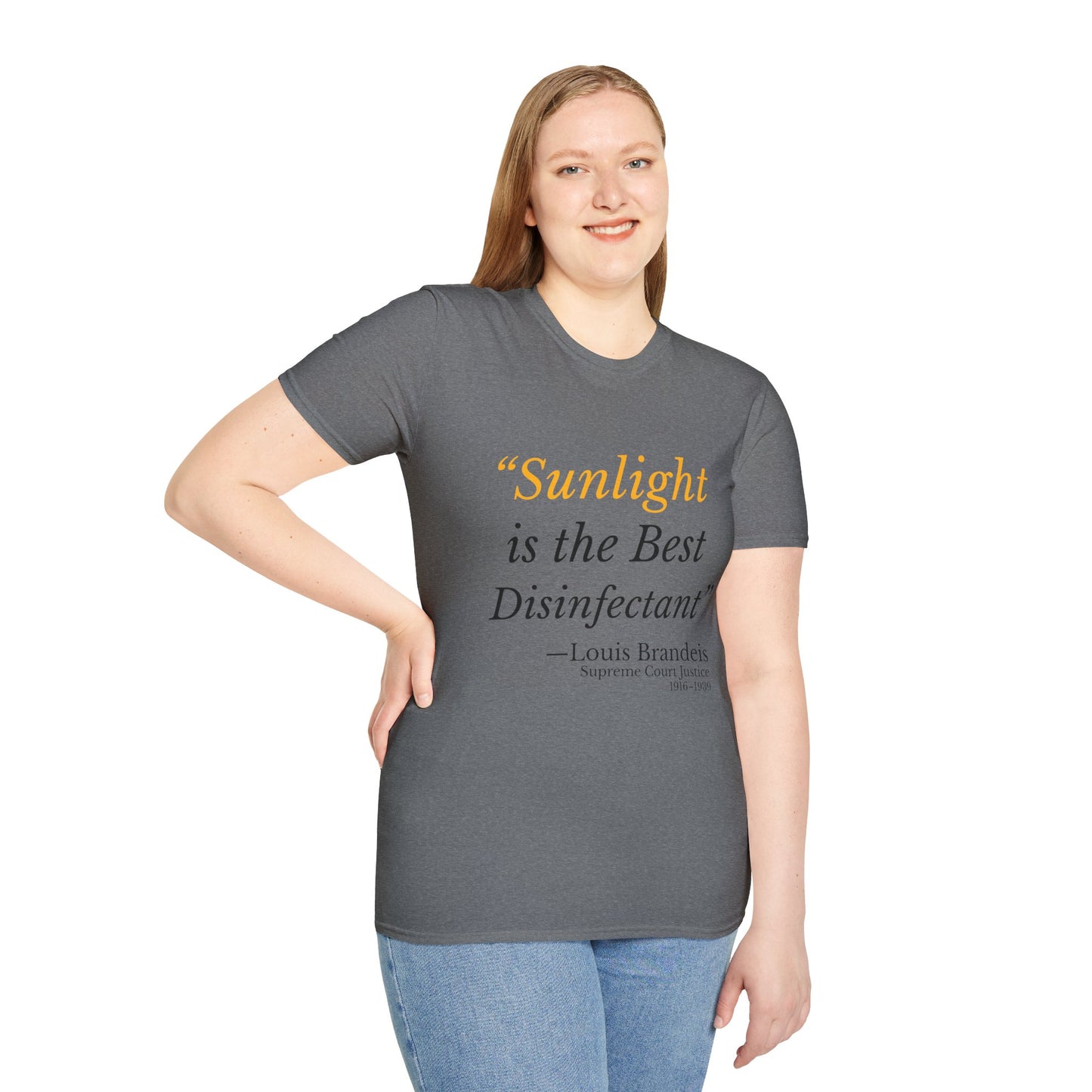 Sunlight is the Best Disinfectant T-shirt – Release the Epstein Files – Graphite Heather