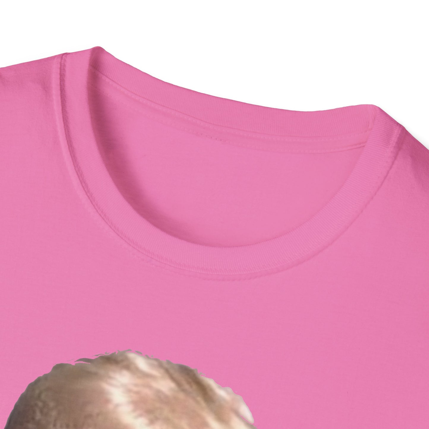 Hoax = Truth – Damaging, Embarrassing, Inconvenient Evidence Tee–Pink Edition