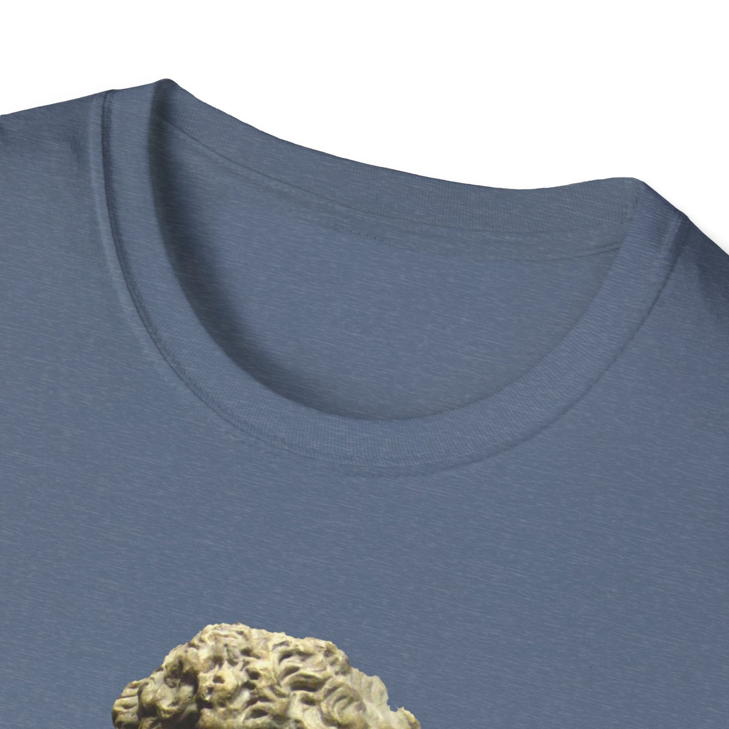 Two-Sided Tyranny Quote T-Shirt – Aesop Front / Crisis Pretexts Back – Heather Indigo