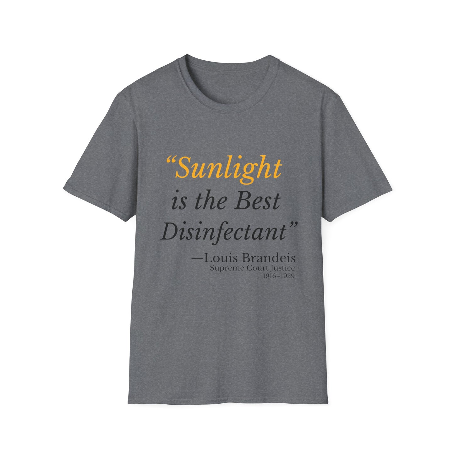 Sunlight is the Best Disinfectant T-shirt – Release the Epstein Files – Graphite Heather