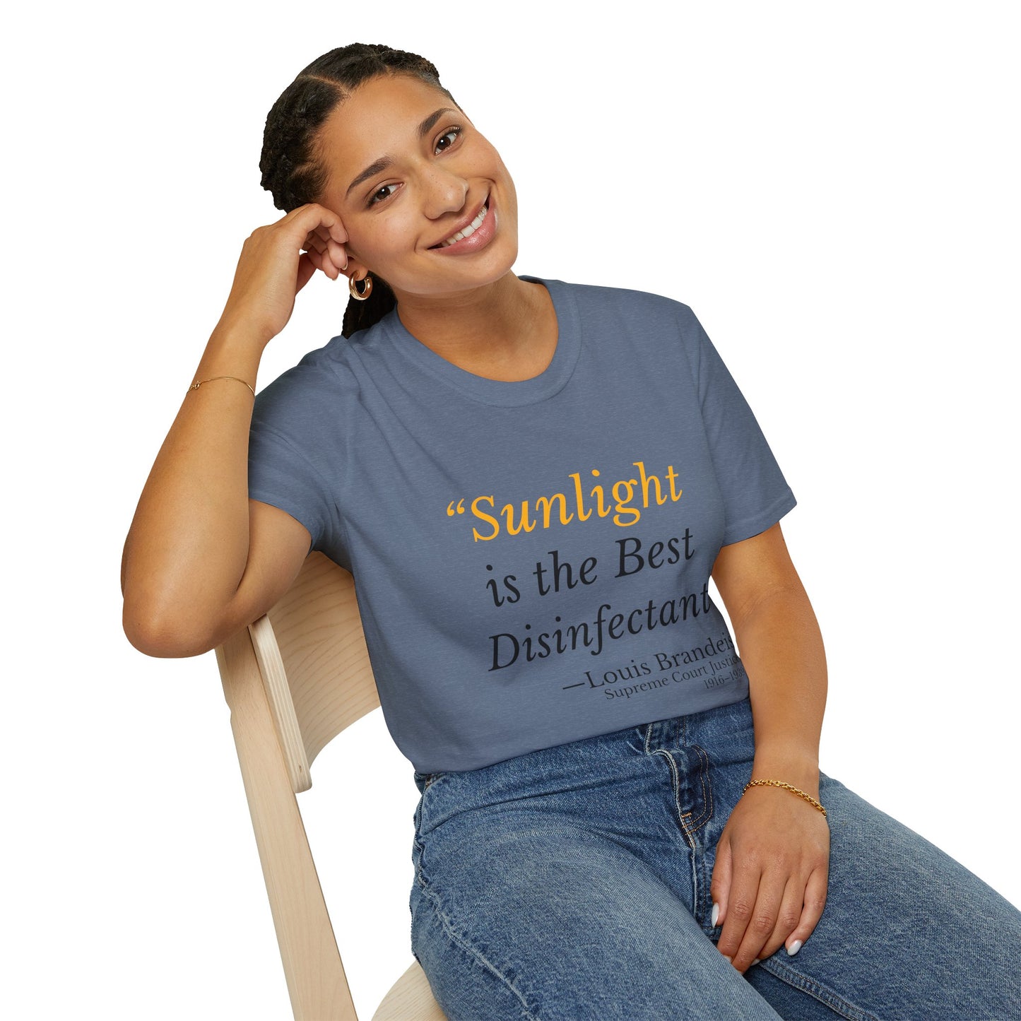 Sunlight Is the Best Disinfectant T-Shirt – Release Unredacted Files Transparency Tee – Heather Indigo