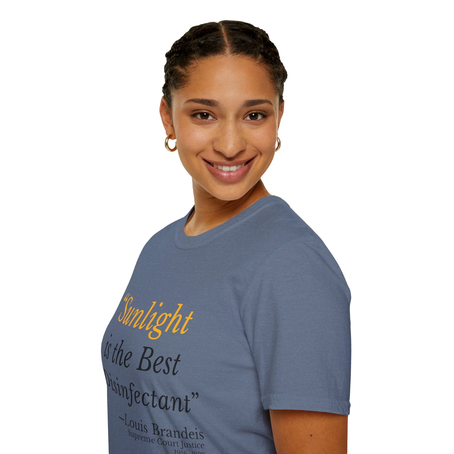 Sunlight Is the Best Disinfectant T-Shirt – Release Unredacted Files Transparency Tee – Heather Indigo